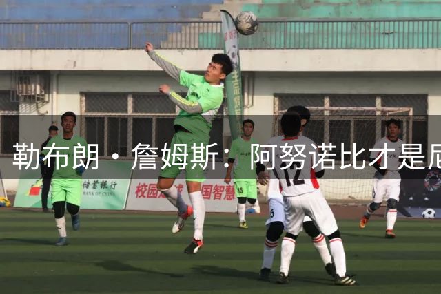 勒布朗·詹姆斯：阿努诺比才是尼克斯夺冠的“无名英雄”