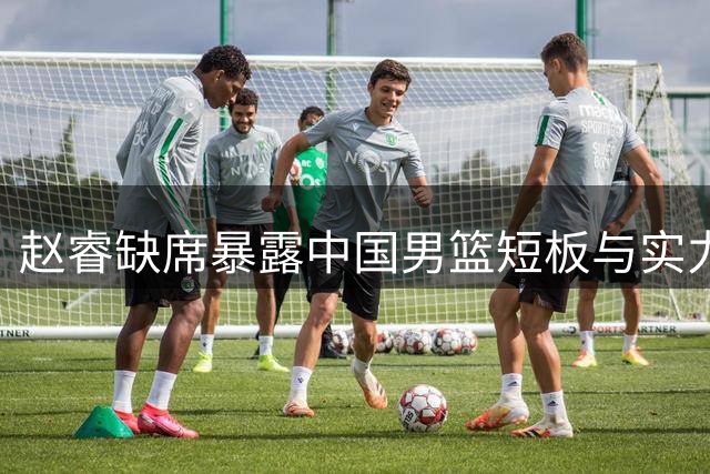 赵睿缺席暴露中国男篮短板与实力差距